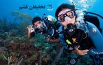 غواصی قشم با تخفیف - Image 4