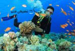 غواصی قشم با تخفیف - Image 5