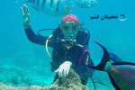 غواصی قشم با تخفیف - Image 8