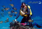 غواصی قشم با تخفیف - Image 7