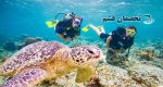 غواصی قشم با تخفیف - Image 11