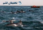 جزیره هنگام