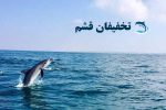 جزیره هنگام