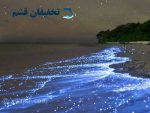 جزیره هنگام