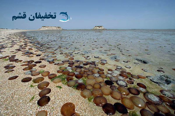 جزیره هنگام