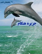 گشت جزیره هنگام