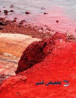 تور هرمز از قشم - Image 18