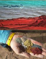 تور هرمز از قشم - Image 14