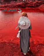 تور هرمز از قشم - Image 17