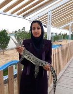 پارک-کروکودیل